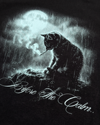 Storm Before The Calm Tee